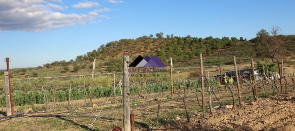  قطعة أرض في Odeleite, Portugal 38320متر مربع رقم 35998 18