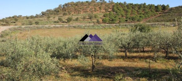  قطعة أرض في Odeleite, Portugal 38320متر مربع رقم 35998 25