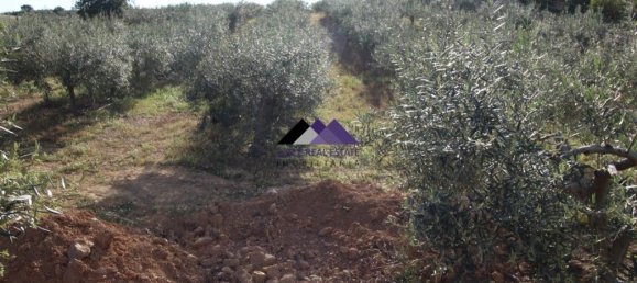  قطعة أرض في Odeleite, Portugal 38320متر مربع رقم 35998 15