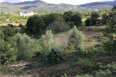  Land in Cavez, Portugal No. 190057