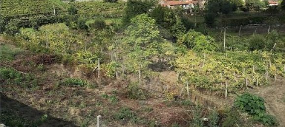  Land in Cavez, Portugal No. 190057 4