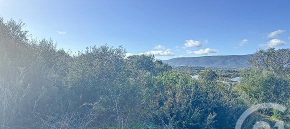 Terrain à Porto-Vecchio, France No. 85244 3