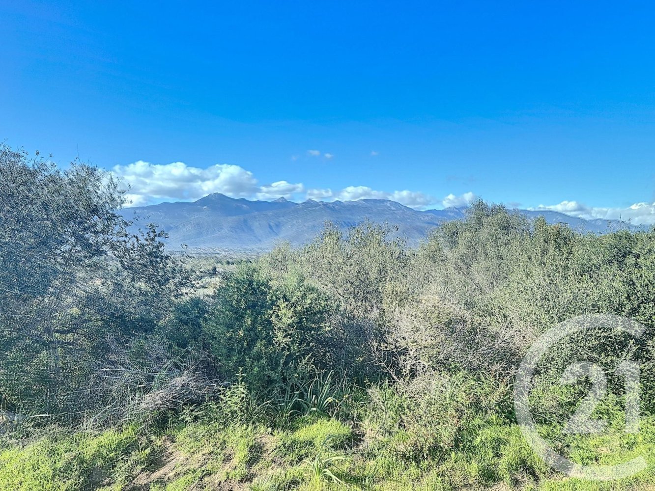 Terrain à Porto-Vecchio, France No. 85244