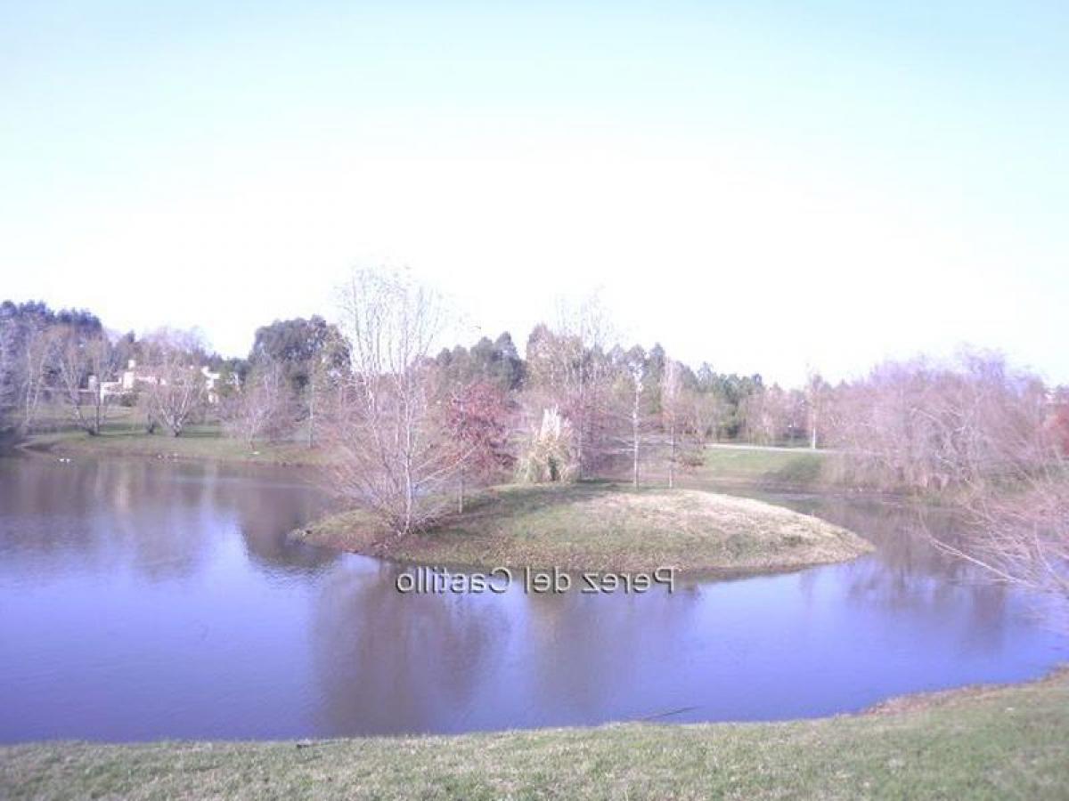 Grundstück in Montevideo, Uruguay, Nr. 13984