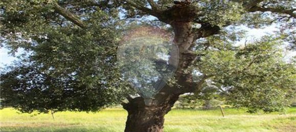 9 غرف نوم منزل في Penamacor, Portugal رقم 63133 45