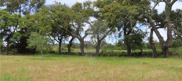 9 غرف نوم منزل في Penamacor, Portugal رقم 63133 31