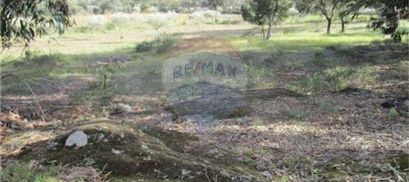 9 غرف نوم منزل في Penamacor, Portugal رقم 63133 7