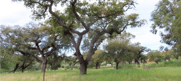 9 غرف نوم منزل في Penamacor, Portugal رقم 63133 16