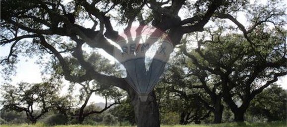 9 غرف نوم منزل في Penamacor, Portugal رقم 63133 4