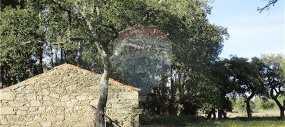 9 غرف نوم منزل في Penamacor, Portugal رقم 63133 26