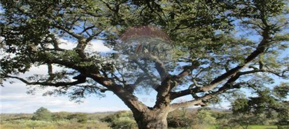 9 غرف نوم منزل في Penamacor, Portugal رقم 63133 2