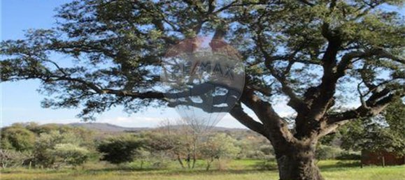 9 غرف نوم منزل في Penamacor, Portugal رقم 63133 5