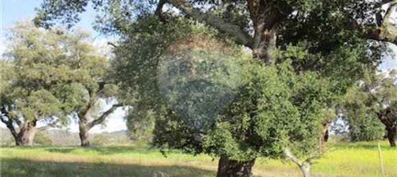 9 غرف نوم منزل في Penamacor, Portugal رقم 63133 44