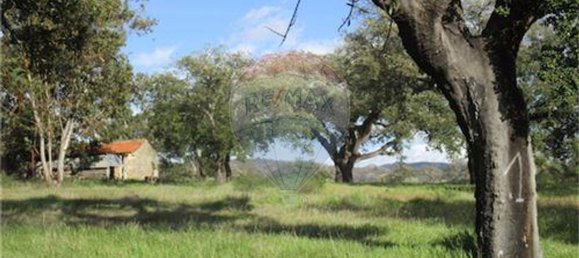 9 غرف نوم منزل في Penamacor, Portugal رقم 63133 36