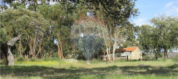 9 غرف نوم منزل في Penamacor, Portugal رقم 63133 33