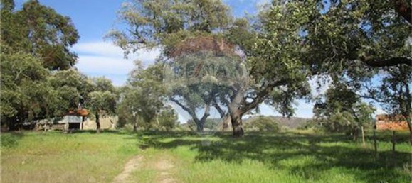 9 غرف نوم منزل في Penamacor, Portugal رقم 63133 32