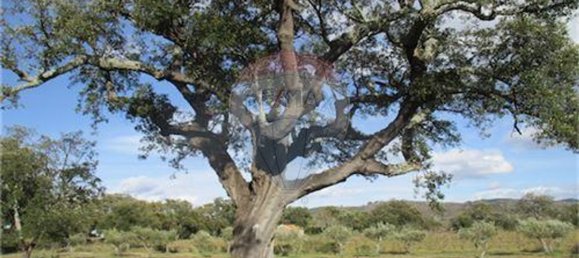 9 غرف نوم منزل في Penamacor, Portugal رقم 63133 49