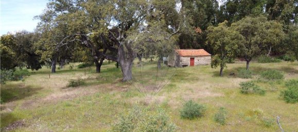 9 غرف نوم منزل في Penamacor, Portugal رقم 63133 15