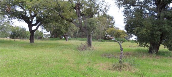 9 غرف نوم منزل في Penamacor, Portugal رقم 63133 30