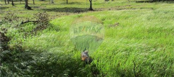 9 غرف نوم منزل في Penamacor, Portugal رقم 63133 10