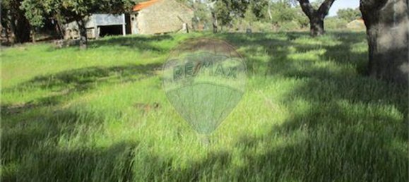 9 غرف نوم منزل في Penamacor, Portugal رقم 63133 29