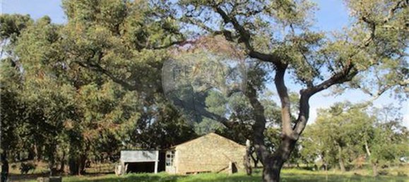 9 غرف نوم منزل في Penamacor, Portugal رقم 63133 27