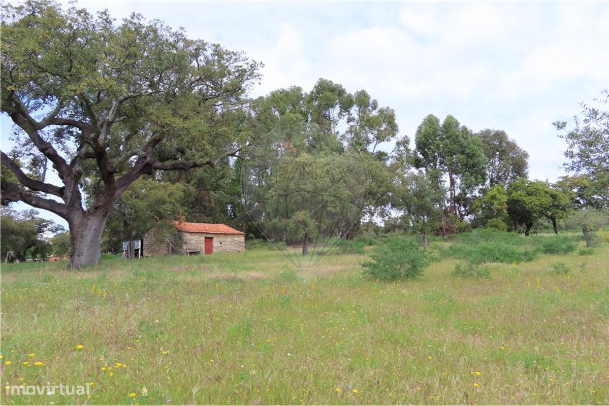 9 غرف نوم منزل في Penamacor, Portugal رقم 63133