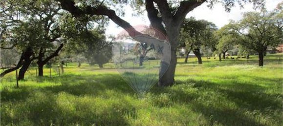 9 غرف نوم منزل في Penamacor, Portugal رقم 63133 48