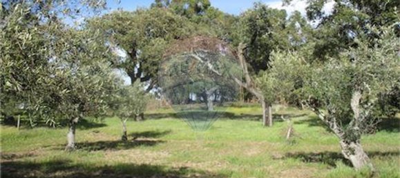 9 غرف نوم منزل في Penamacor, Portugal رقم 63133 42