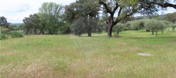 9 غرف نوم منزل في Penamacor, Portugal رقم 63133 12