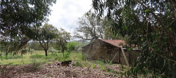 9 غرف نوم منزل في Penamacor, Portugal رقم 63133 11