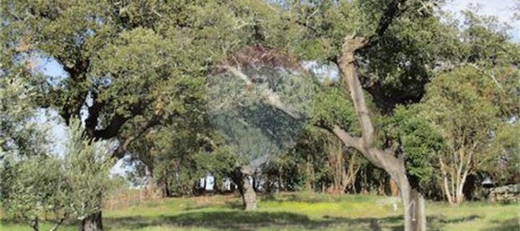 9 غرف نوم منزل في Penamacor, Portugal رقم 63133 43