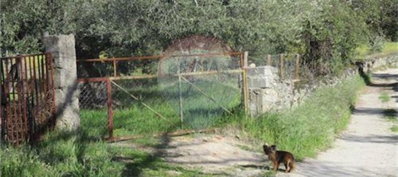 9 غرف نوم منزل في Penamacor, Portugal رقم 63133 40