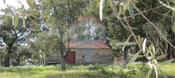 9 غرف نوم منزل في Penamacor, Portugal رقم 63133 25