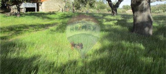 9 غرف نوم منزل في Penamacor, Portugal رقم 63133 28