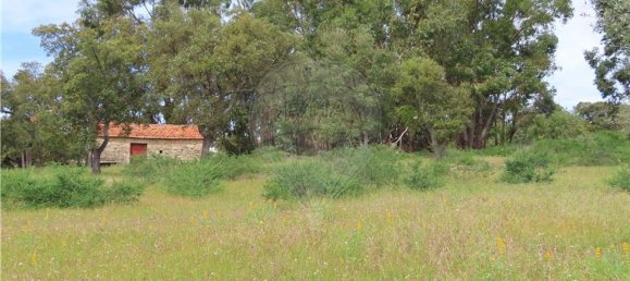 9 غرف نوم منزل في Penamacor, Portugal رقم 63133 18