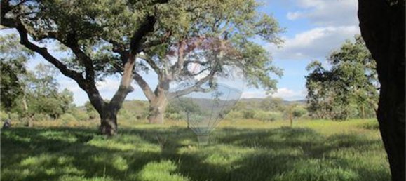 9 غرف نوم منزل في Penamacor, Portugal رقم 63133 46