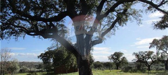 9 غرف نوم منزل في Penamacor, Portugal رقم 63133 3