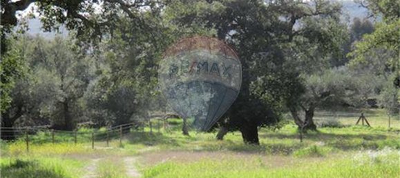 9 غرف نوم منزل في Penamacor, Portugal رقم 63133 50