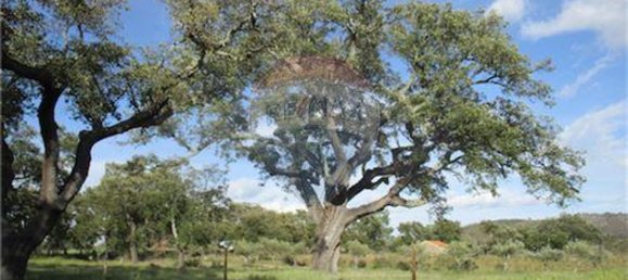 9 غرف نوم منزل في Penamacor, Portugal رقم 63133 47