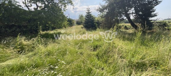 Adosado de 3 dormitorios en Sens, France No. 200319 46