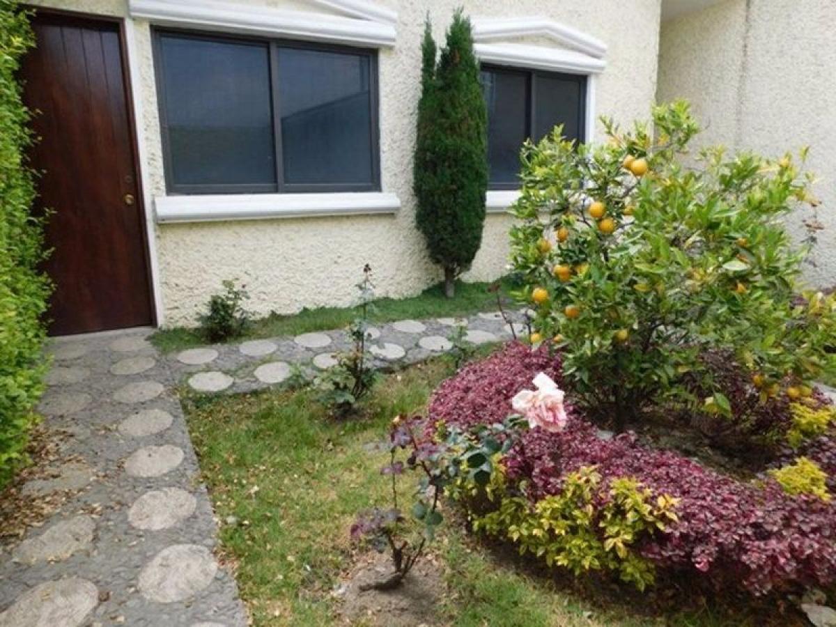 3 Schlafzimmer Haus in San Buenaventura, Mexico, Nr. 213011