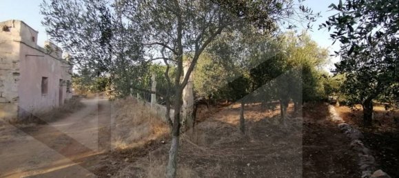 3 rooms House in Modugno, Italy No. 27155 3