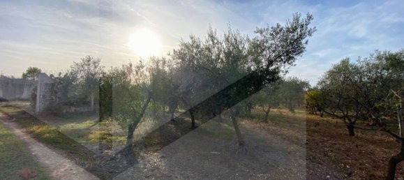 3 rooms House in Modugno, Italy No. 27155 13