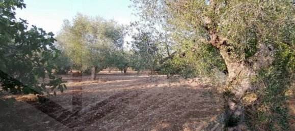 3 rooms House in Modugno, Italy No. 27155 9