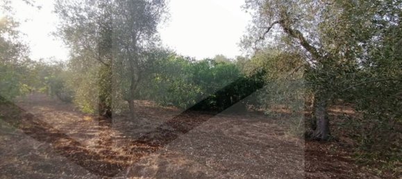 3 rooms House in Modugno, Italy No. 27155 10