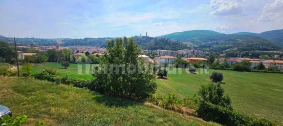 Terrain à San Severino Marche, Italy 67000m² No. 309236 46