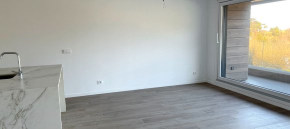 3 bedrooms Apartment in Basque Autonomous Community, Spain No. 172228 25