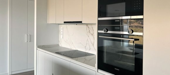 3 bedrooms Apartment in Basque Autonomous Community, Spain No. 172228 12