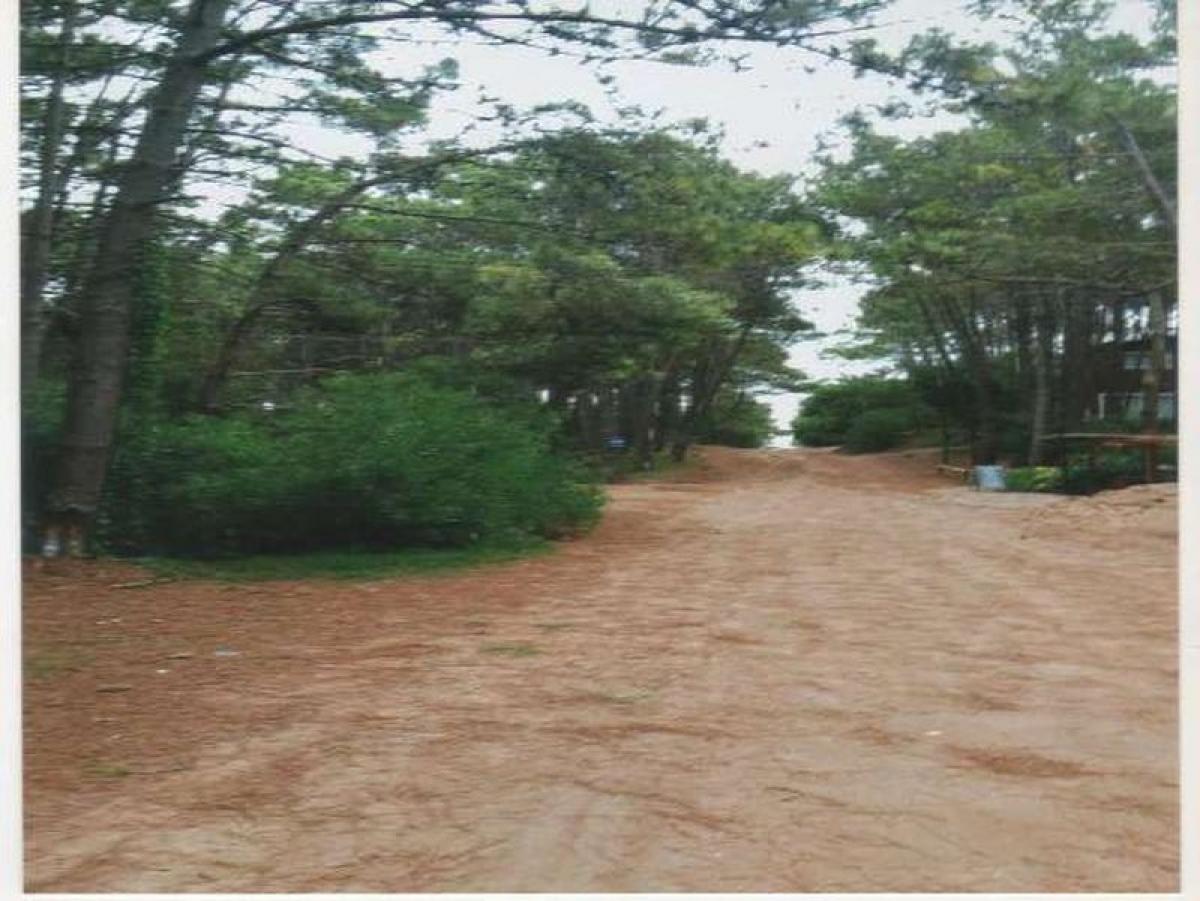 Земельный участок в Буэнос-Айрес, Аргентина № 112529